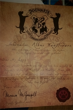 Luz' Acceptance Letter to Dogwarts